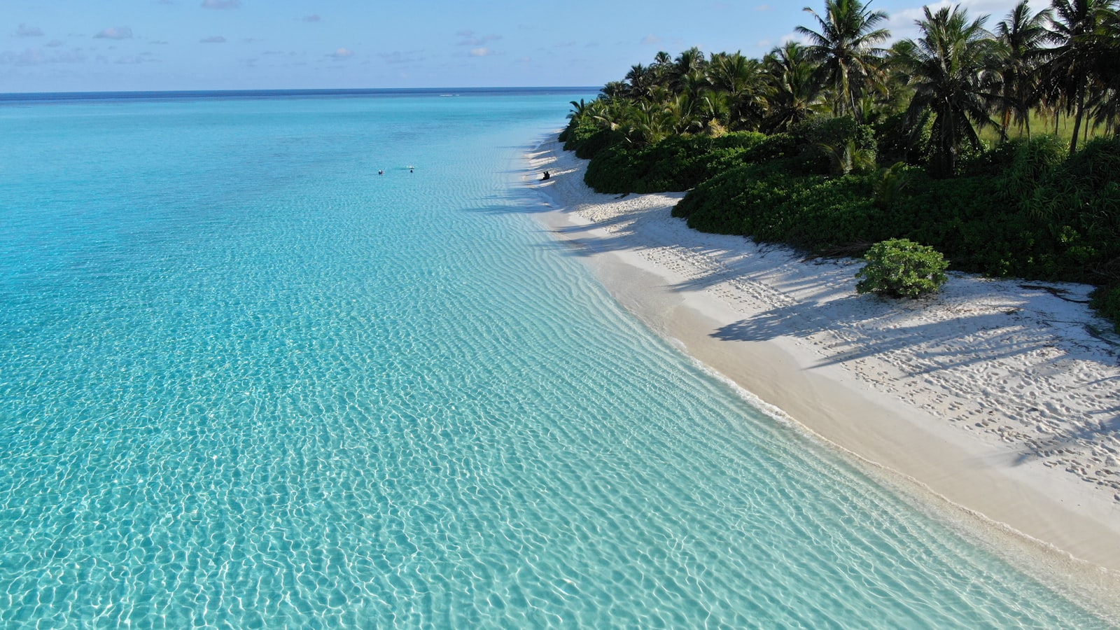 Aerial of a pristine white-sand Maldives beach meeting crystal-clear turquoise water lined with palms